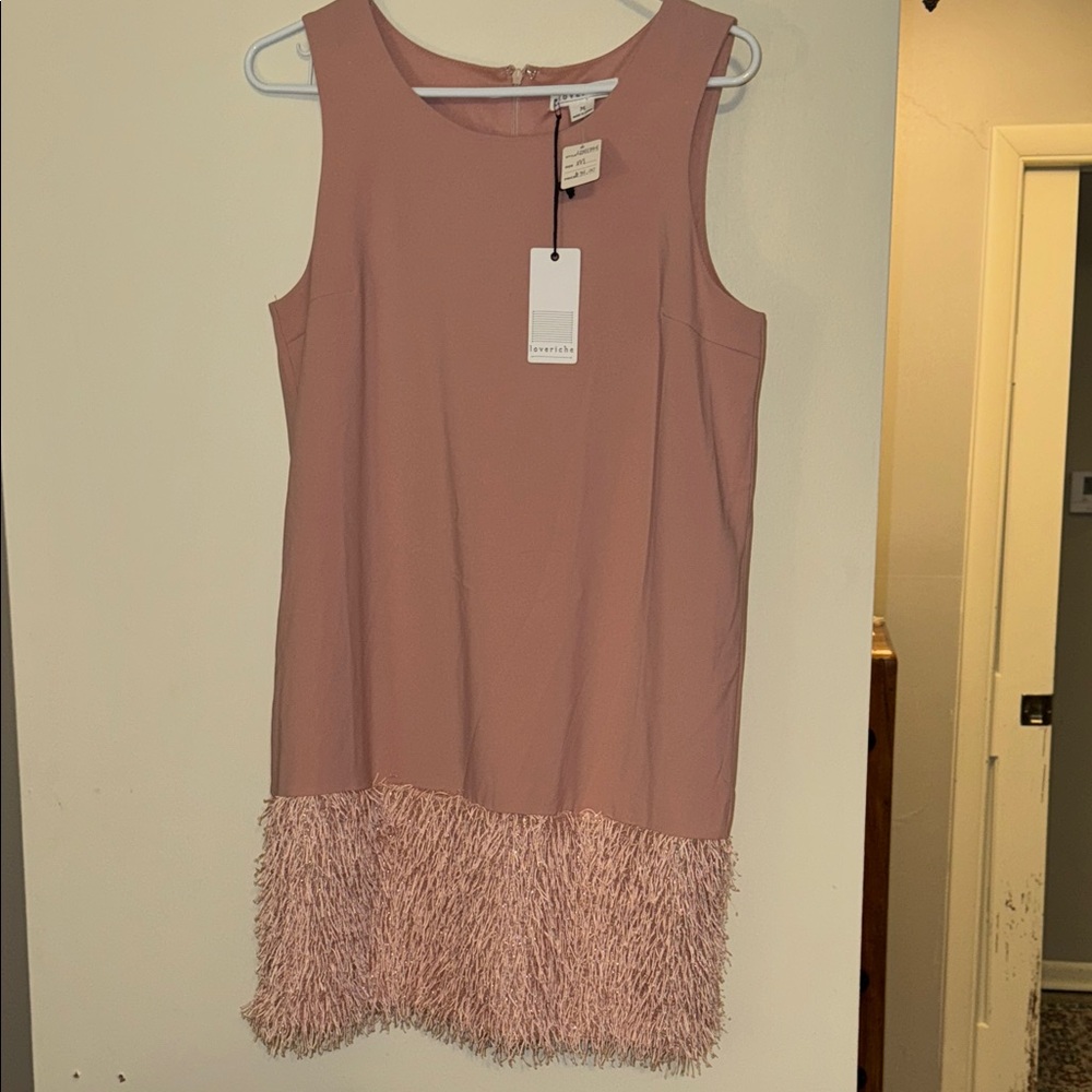 Love Riche Blush Mini Dress with Fringe Detail